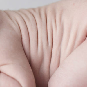 Kansas City Newborn Photographer