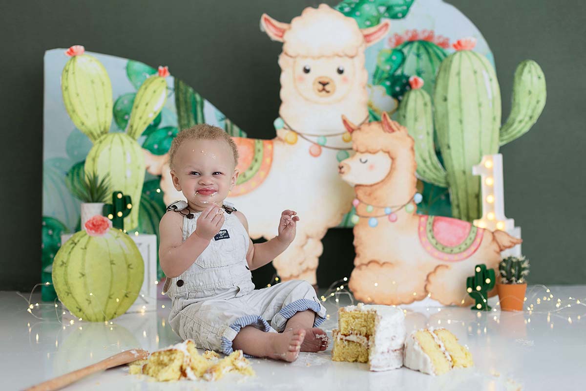 Kansas City cake smash photographer Lama Lama birthday theme idea inspiration